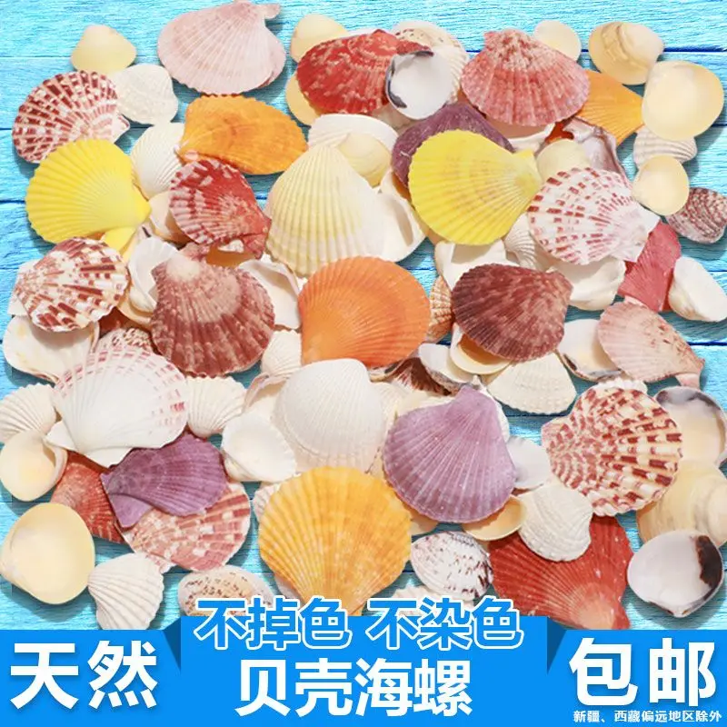 Clolorful Conch Shell Sea Star Fish Tank Landscaping Decoration Hermit Crab Children's Handmade DIY Wind Chime Drifting Bottle