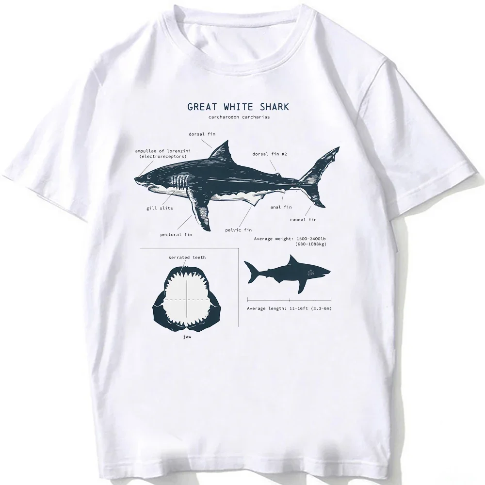 

Whale Shark Anatomy Biology Women Hip Hop Casual Women Beach Diving White Tshirt Vintage Women Harajuku Sleeve Aesthetic Clothes
