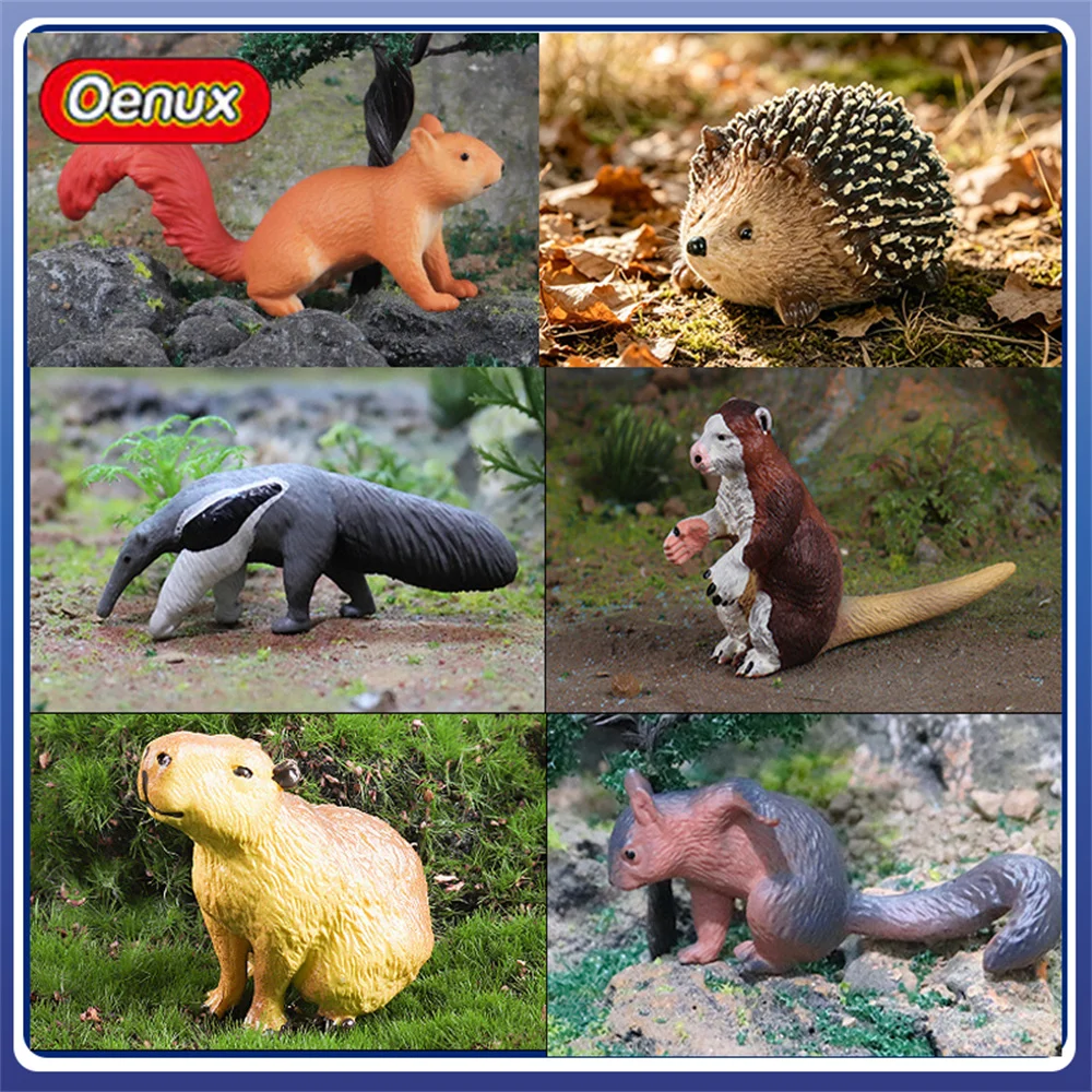 Figuras de Animales en Miniatura de Plástico Sólido Oenux: Ardilla, Anteatero, Chinchilla, Canguro de Árbol, Erizo, Angora, Capibara, Suricata, Decoración