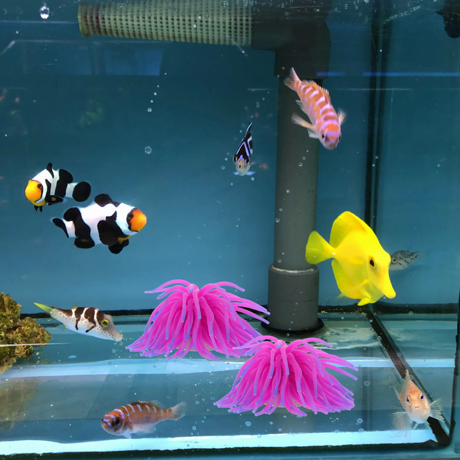 

6Pcs Artificial Sea Urchin Aquarium Ornament Durable Plastic Fish Tank Landscape Decoration Lifelike Sea Urchin Sculpture