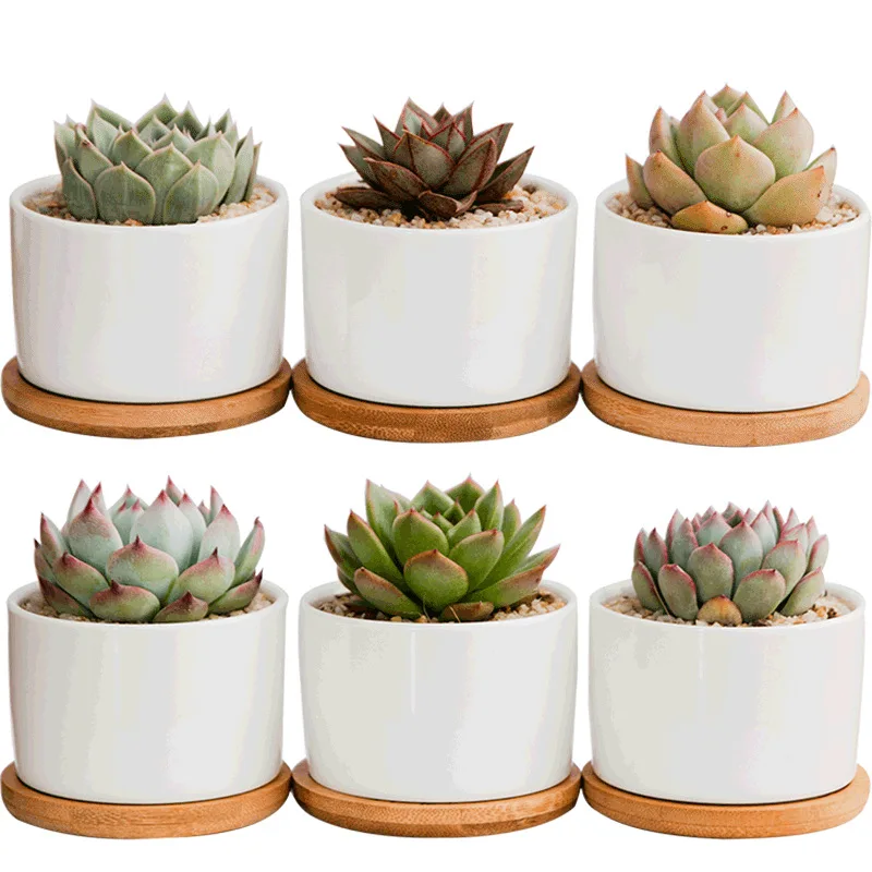 Succulent White Porcelain Flower Pot Simple Creative White Indoor Pot Succulent Flower Pot Creative Home Gardening Plants Potted