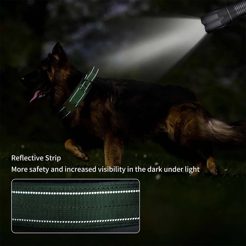 Heavy Duty Double Buckle Design Tactical Dog Collar - Military-Grade Dog Collar with Handle for Medium and Large Dogs