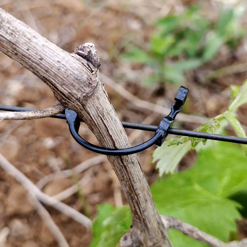 Grape Vine Support Clips Durable Flexible Reusable for Climbing Plants Trellis Cages Stands Gardening Accessories