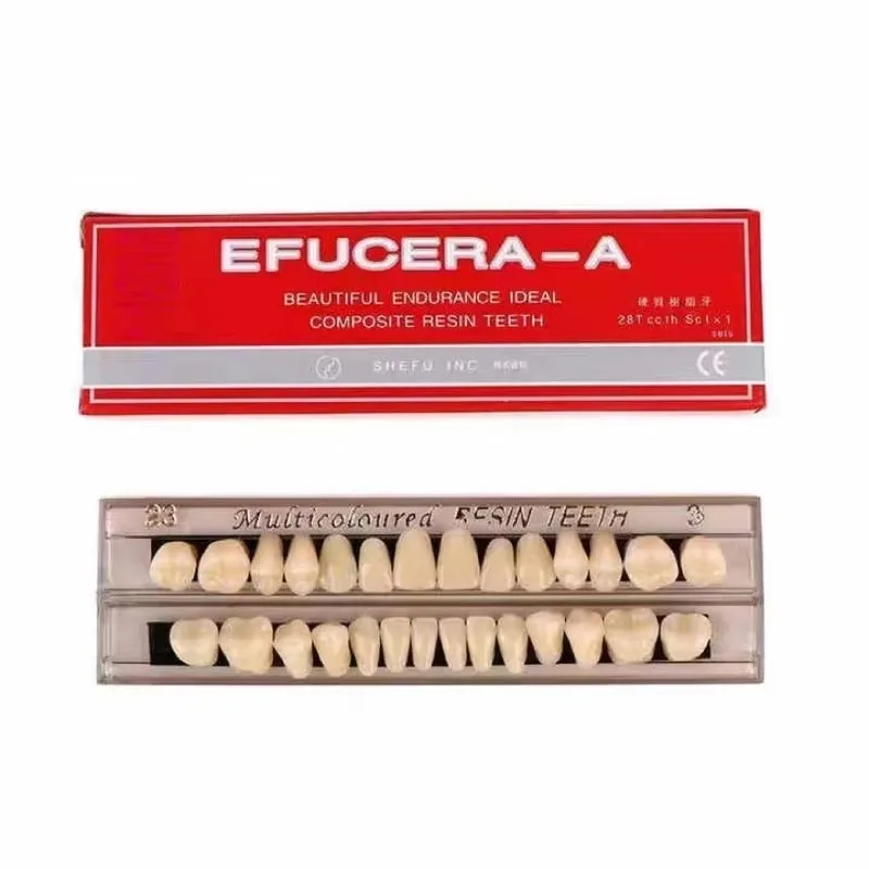Dental Full Set Resin Denture Teeth Model Plastic False Teeth Teaching Study Model for Dentistry Student Training Practice