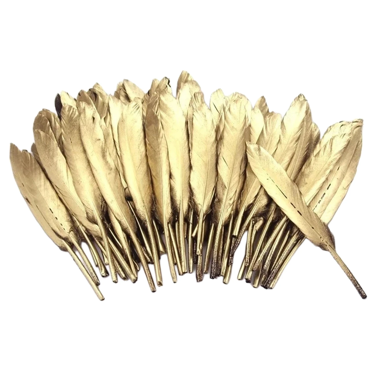 50 Plumes Naturelles pour Décoration DIY, Artisanat et Bouquets Maison