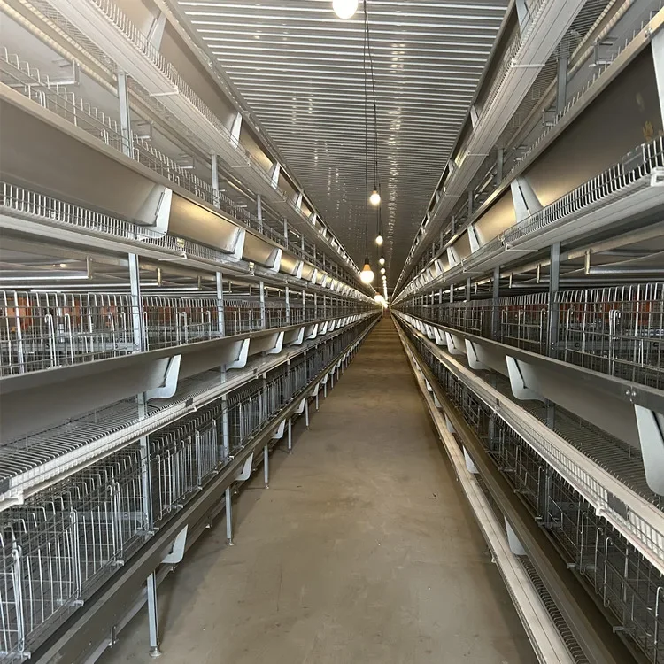 Hot Sale Automatic H Type Galvanized Chicken Cages New Layer Poultry Equipment for Home Use and Retail Farming