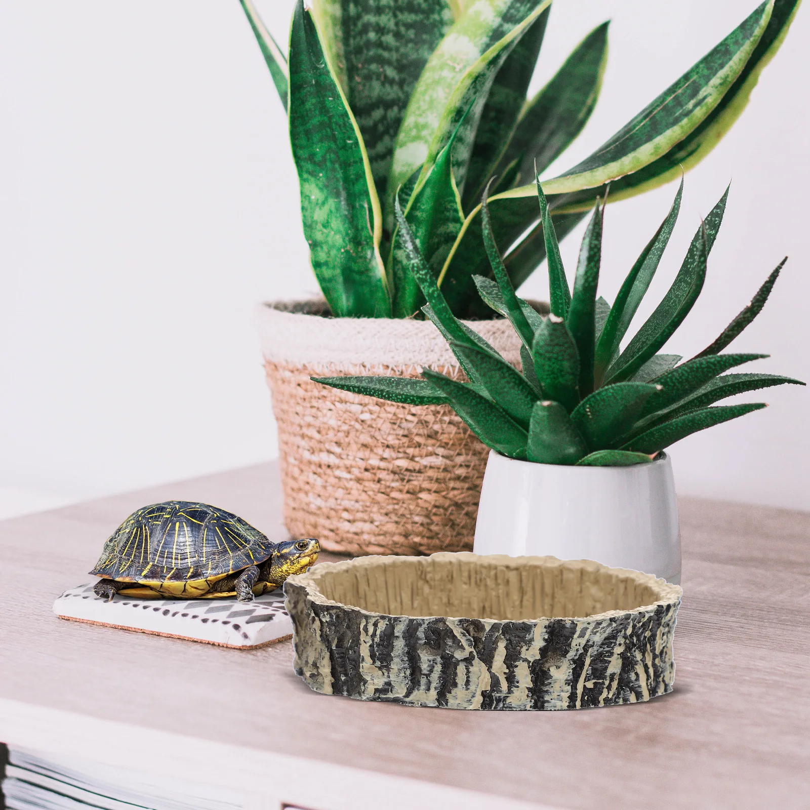 

1pc Resin Natural Reptile Food Bowl For Lizards Geckos Snakes Turtles Pet Feeding Container Tortoise Habitat Accessories