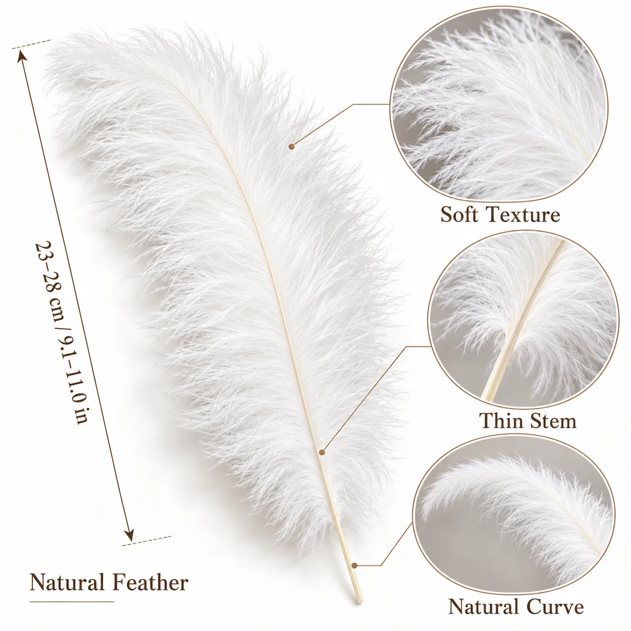 23-28cm/9-11inch Thin Quill Ostrich Feathers 30 Colors 20/50 PCS Plumes for Wedding Party Vase DIY Crafts