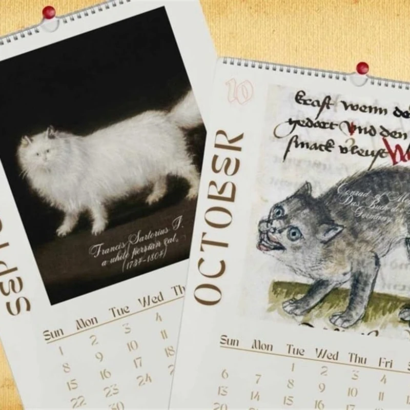 Calendario de pared de gato 2024,2024, calendario de gato renacentista divertido, calendario colgante de pared, calendarios de gato de 12 meses con feo duradero