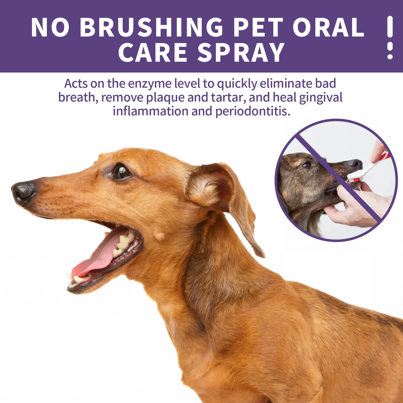 50ml Pet Oral Cleaning Spray Dog & Cat Teeth Cleaning Breath Fresh Deodorant Deodorant Pet Supplies