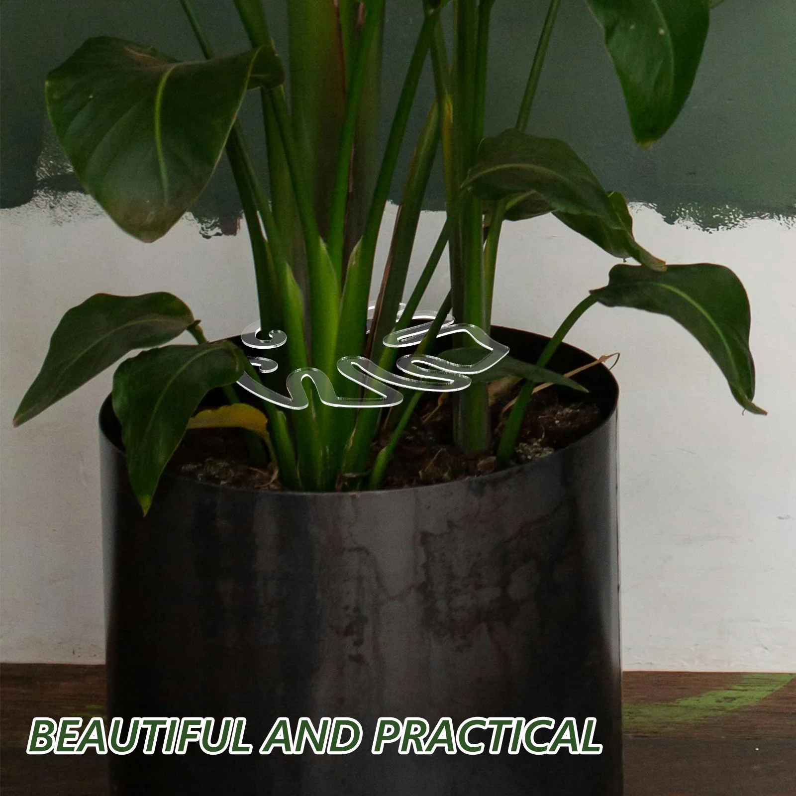 

Monstera Plant Stem Support Holder Flower Stems Rack for Indoor Plants Bonsai Garden Stem Fixing Bracket Acrylic Plant Support