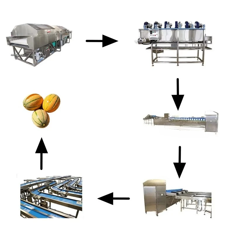 Automatic Industrial Fruit Washing and Sorting Machine for Tomato Avocado Potato Processing