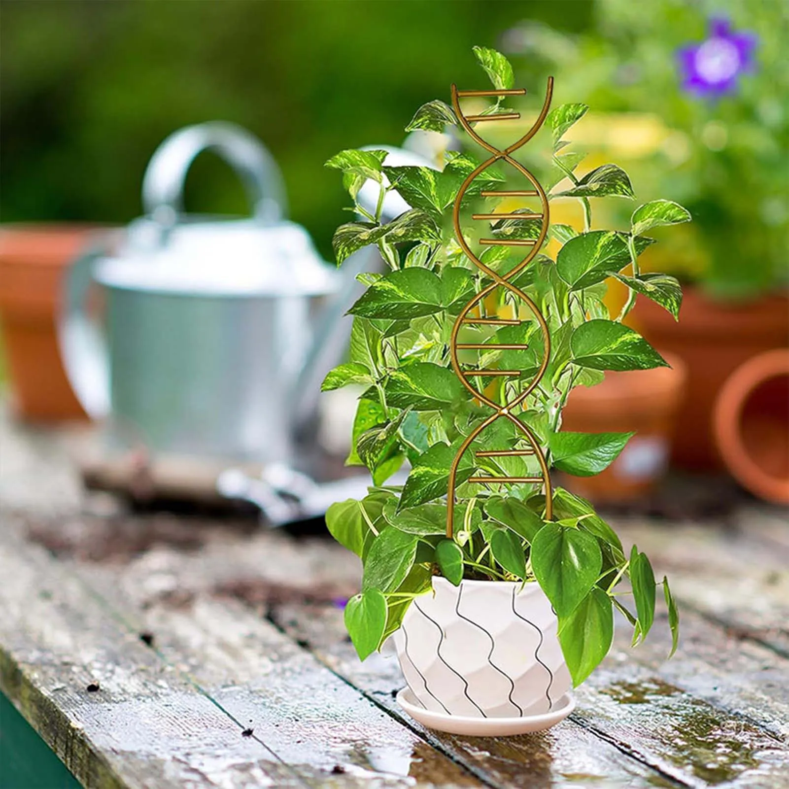 メタルプラントクライミングサポートラック、トレリス、つる成長、保護、植物、花、庭用品