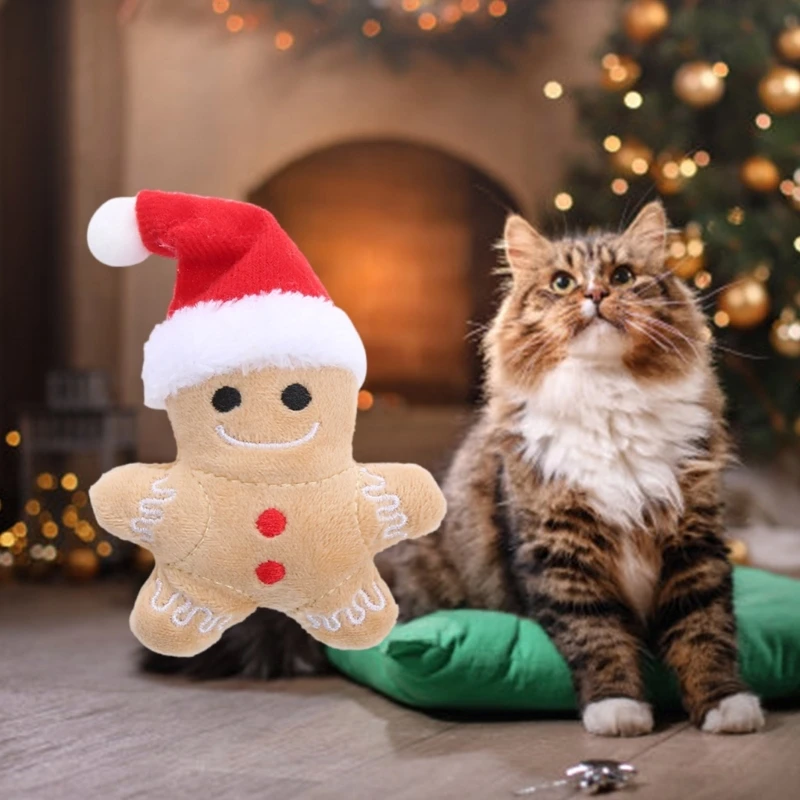 R1WA 2PACK CATS مريح لعبة PET ATY AGURSPRUSION CATS SMALL CATS TOY TOY TOY TOUY TOUTISTANCE