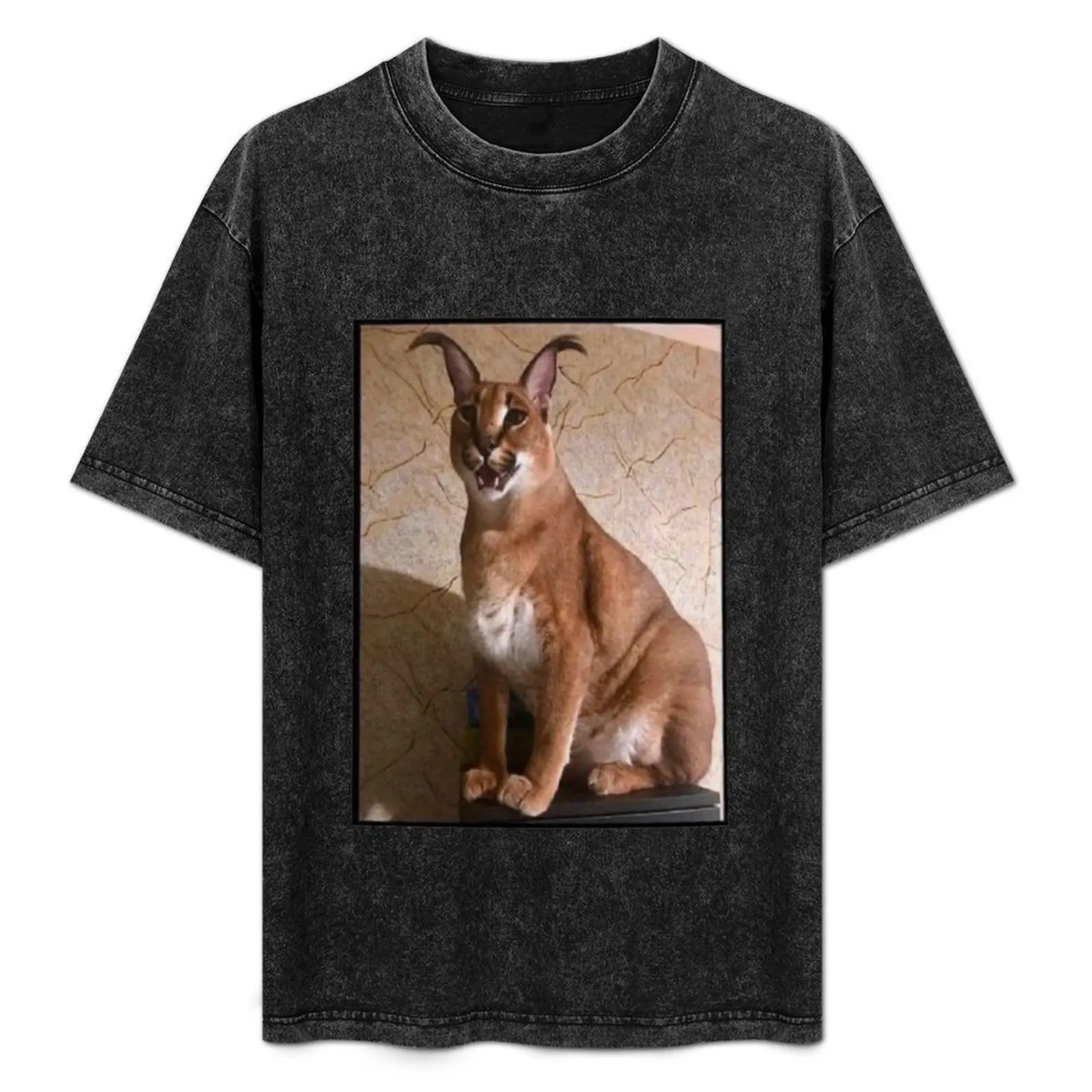 

funny big floppa cool cat meme funny cat T-Shirt Streetwear Print Tee Shirt