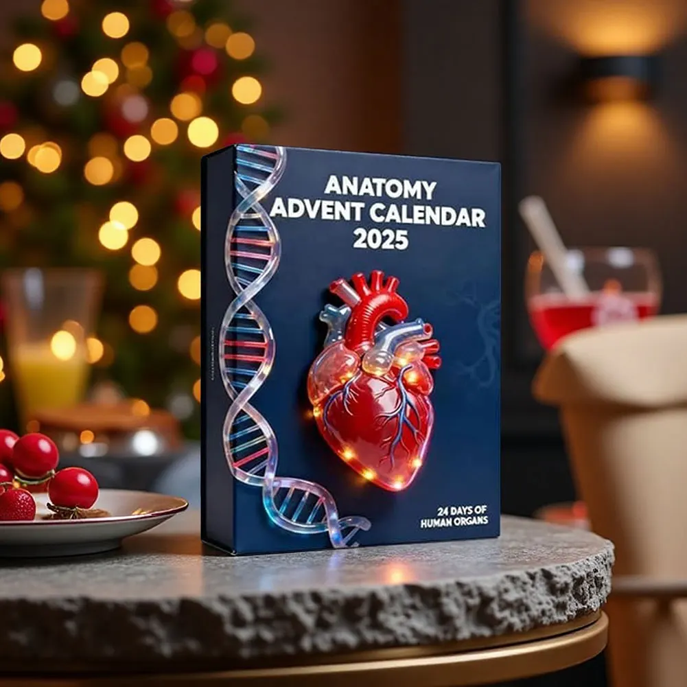 2025 Anatomys Adven… - image