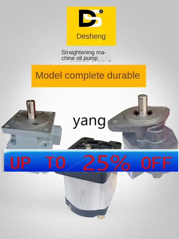

CX hydraulic steel bar regulating gear vane pump straightening machine accessories hydraulic oil pump