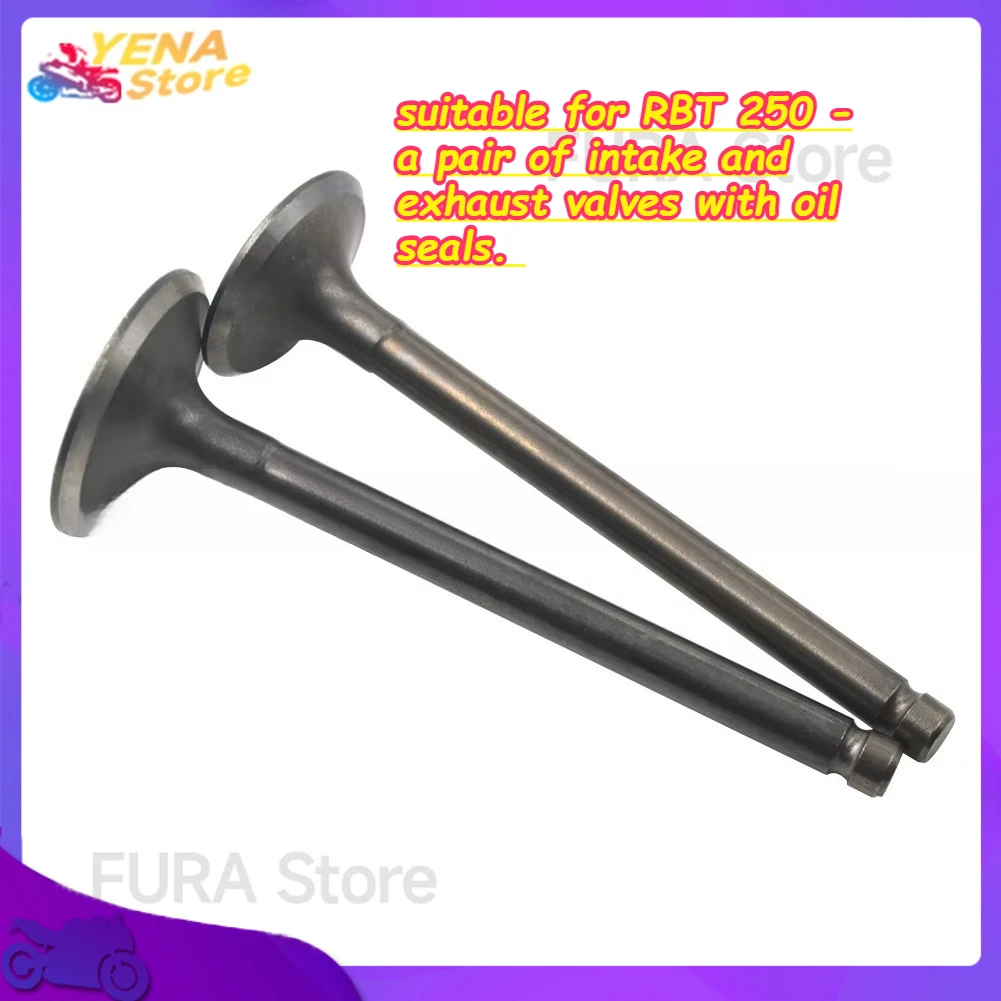 

The engine valves of the motorcycle are suitable for RBT 250 - a pair of intake and exhaust valves with oil seals.