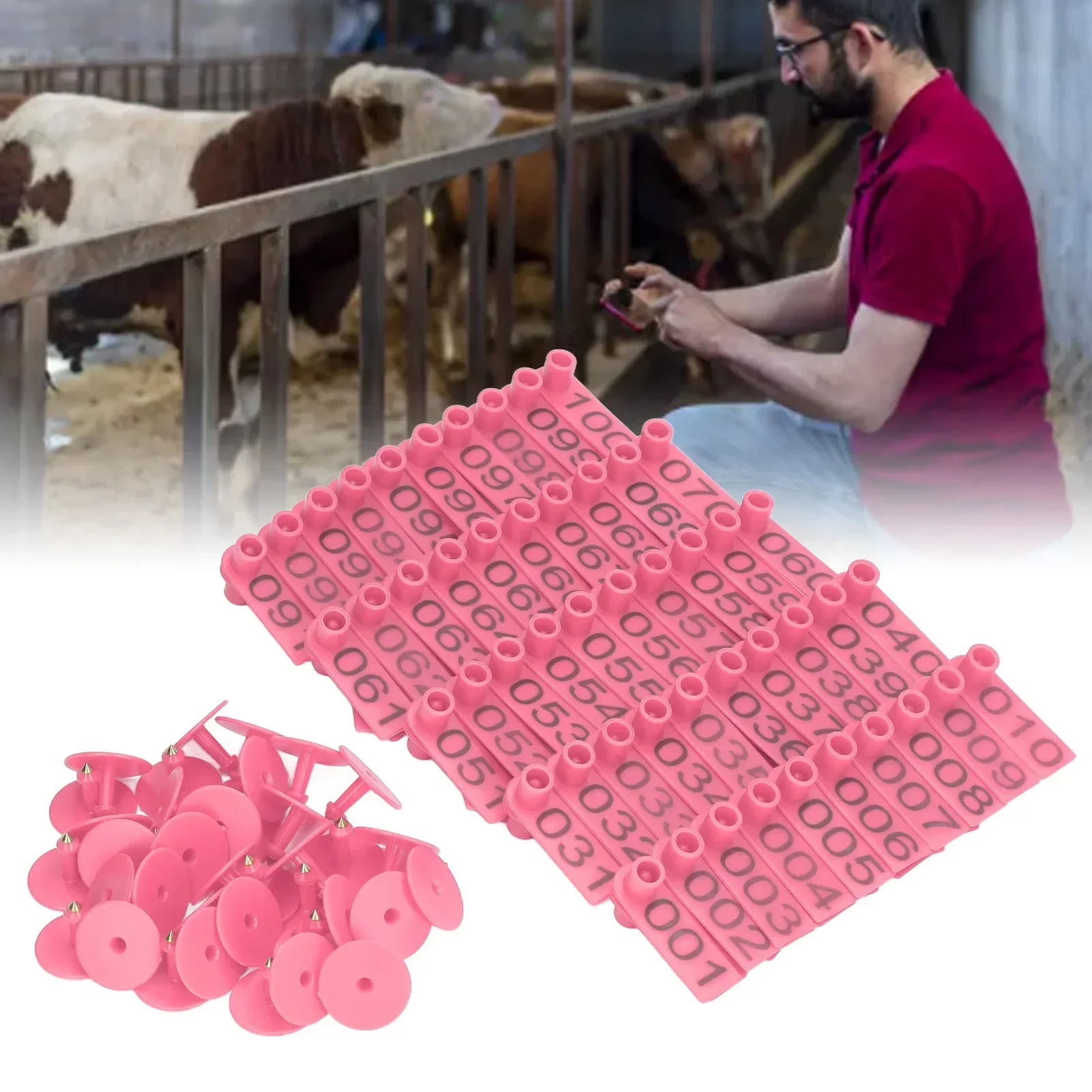 100Sets Numbered Cattle Ear Tags Accurate Livestock Identification Card For Cow Pig Sheep