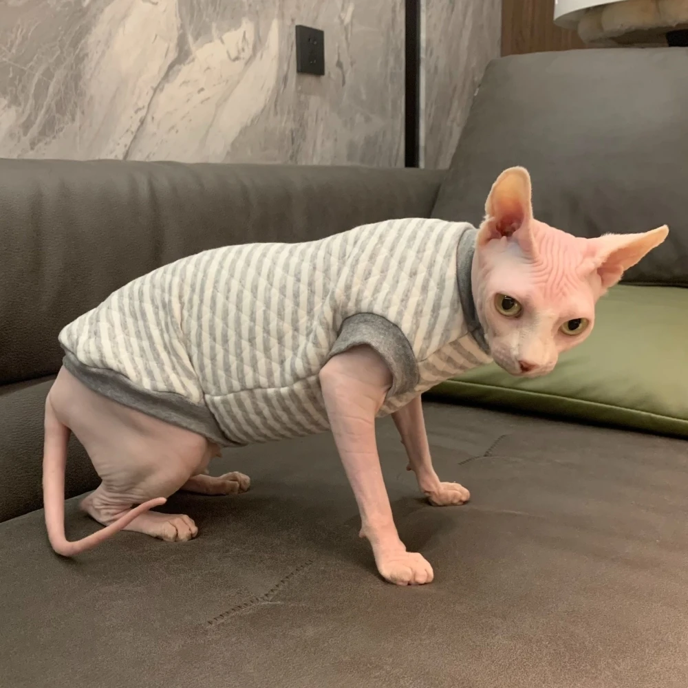 

Зимнее хлопковое пальто для кошек, одежда для кошек Sphynx, мягкий полосатый Плотный Комбинезон для котят и собак, теплые костюмы для Devon Rex