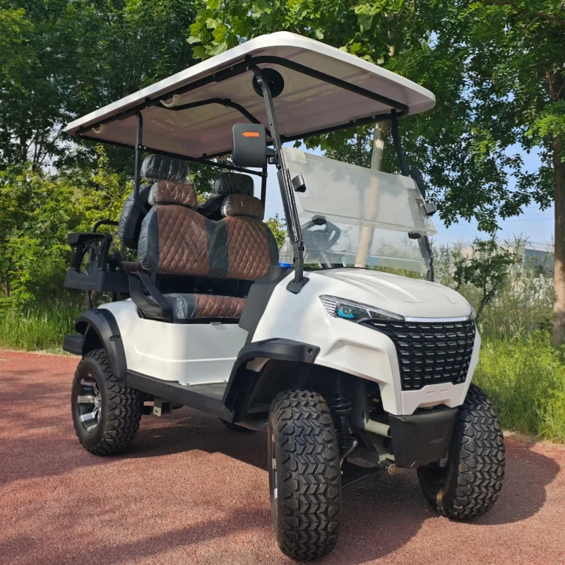 Big Storage Compartments Club Golf Cart Outdoor Electric Golf Cart Lead-Acid Battery 14 Inch Wheel Aluminum Seat With Headrest