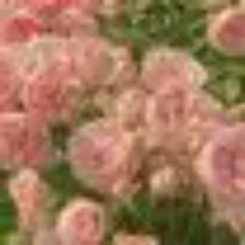 Металлическая обновленная перекосительная пластина, основные лопасти, ручка, зажим, детали головки крестового ротора для Wltoys V977 K110 K110S K120, радиоуправляемый вертолет Металлическая обновленная перекосительная пластина, основные лопасти, ручка, зажим, детали головки крестового ротора для Wltoys V977 K110 K110S K120, радиоуправляемый вертолет