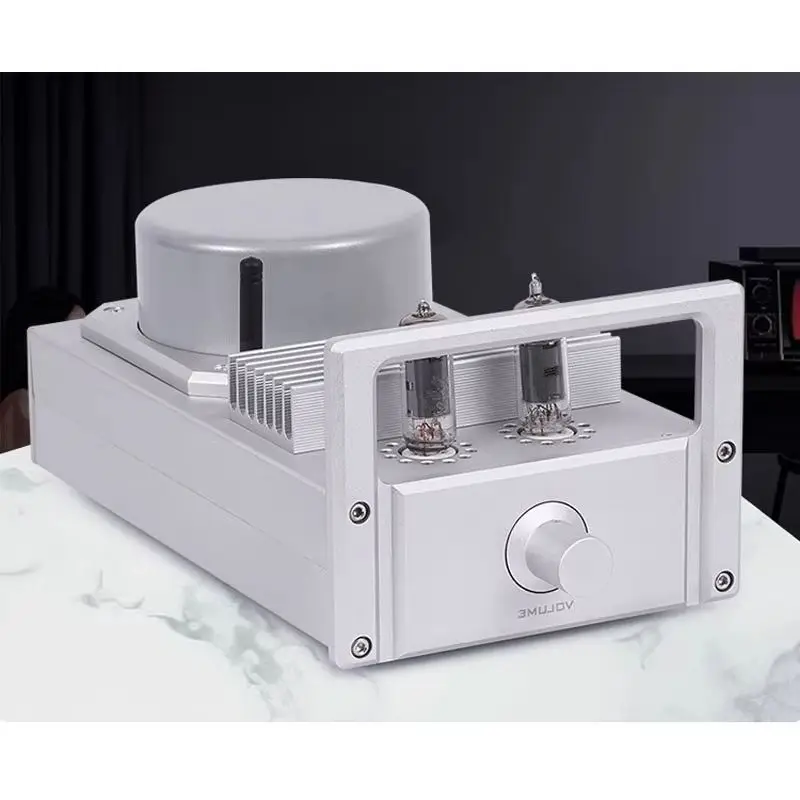 50W PA-SK75X amplificador de potencia integrado de piedra trasera de chasis frontal RMS estéreo Bluetooth 5,3 amplificador de potencia de tubo electrónico