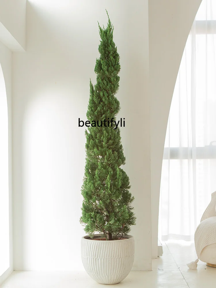 Pine cypress tree Tasong Christmas tree green plant large outdoor garden decoration fake tree