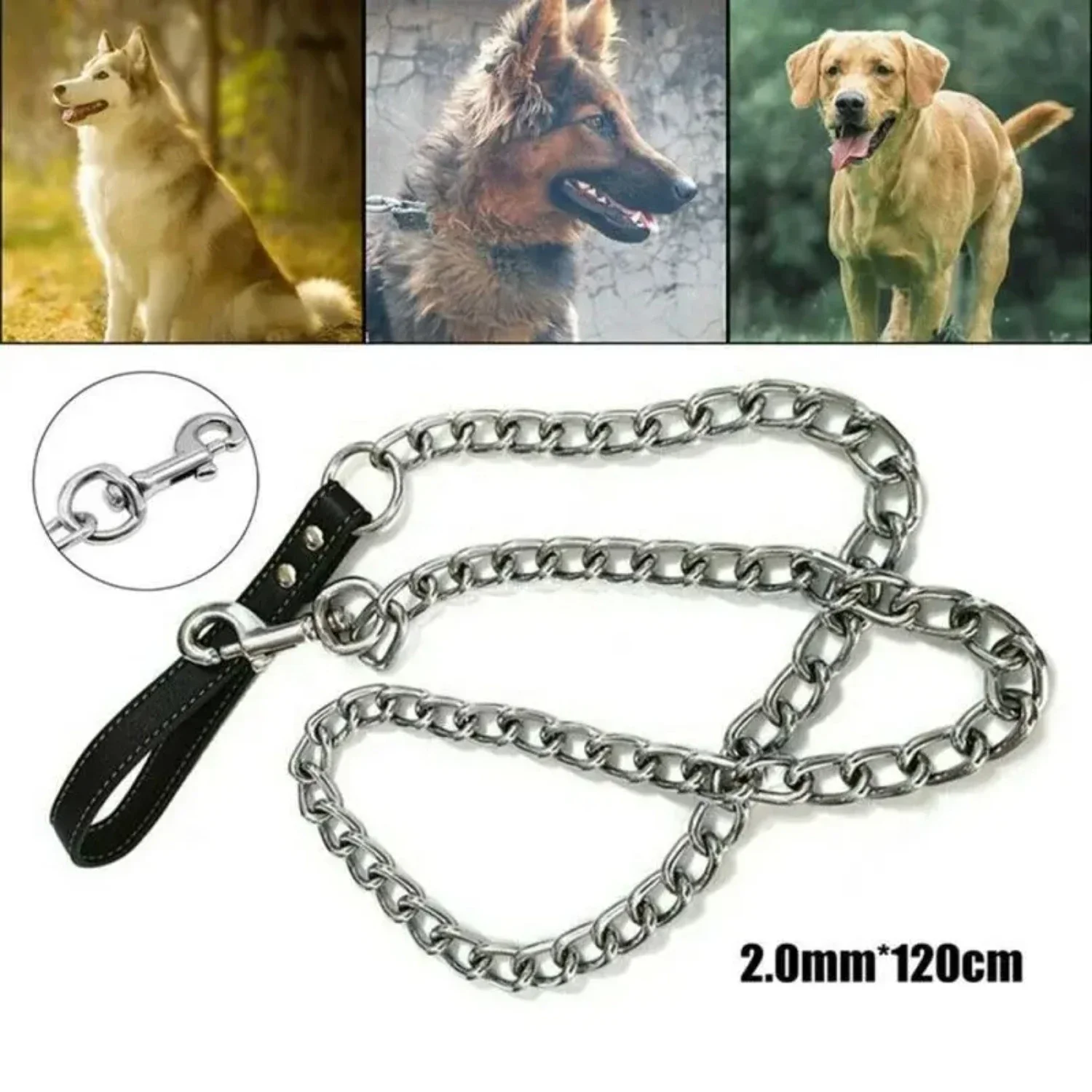 

Premium quality metal chain leash for secure, effective obedience training sessions with your loyal and strong Golden Retriever