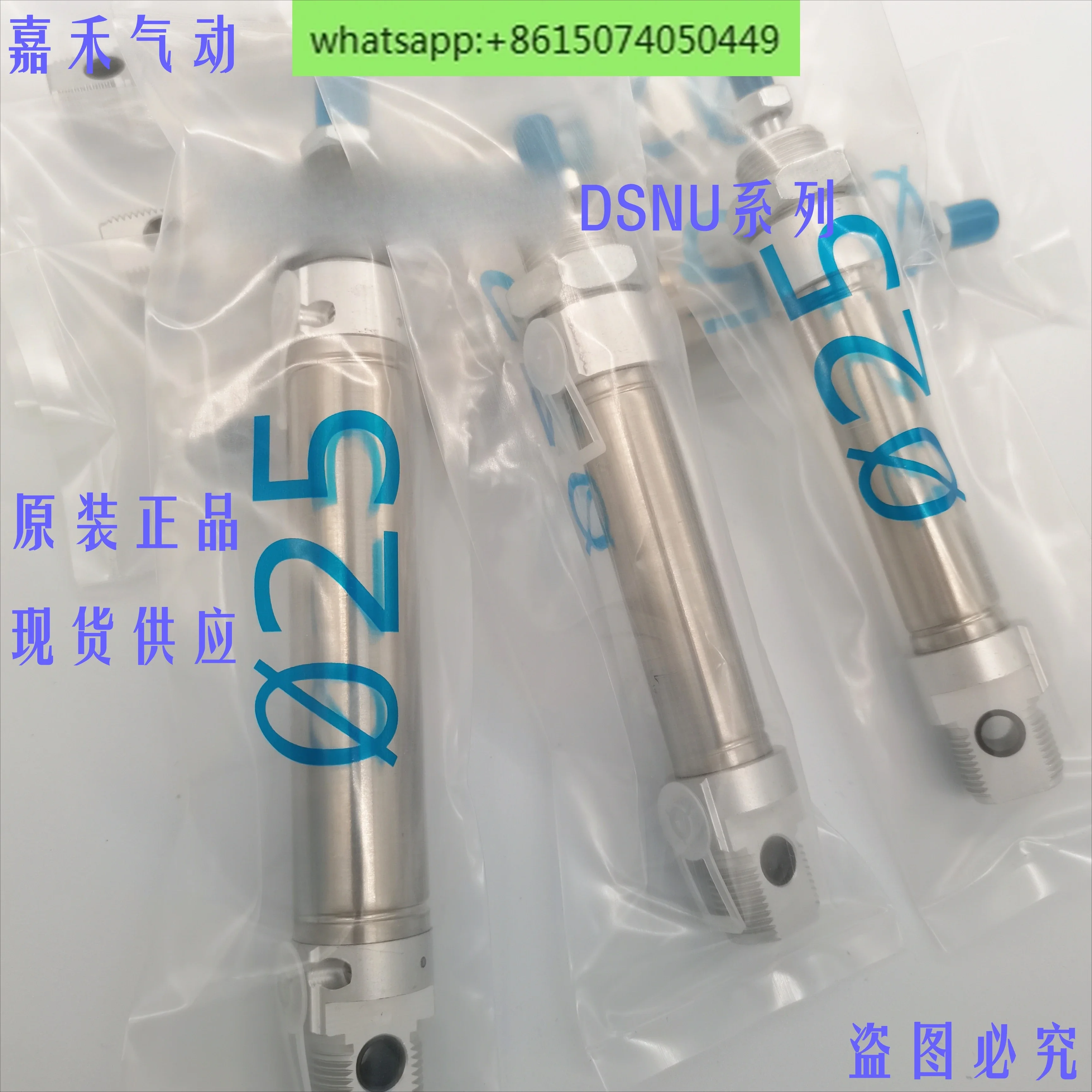 

Cylinder DSNU 20 25 40 50 80 100 - 125 - PPV - A