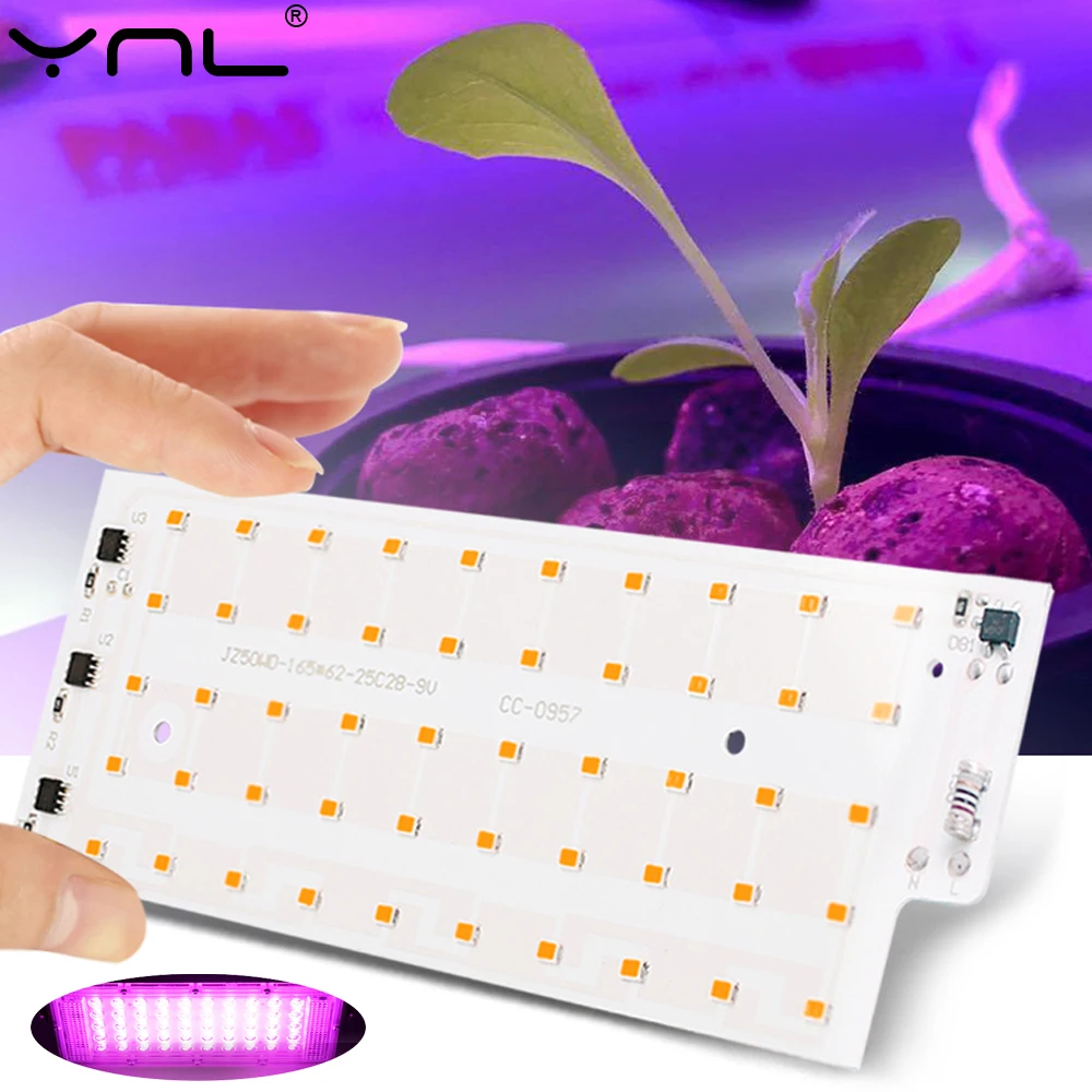 Full Spectrum LED Grow Light Chip For Plant Range Phytolamp SMD2835 50W Indoor Home Tent Box Lamp For Flower DIY Flood Lighting