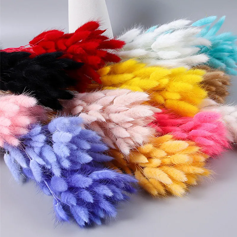 300pcs Natural Floral Dried Flowers Bunny Rabbit Tail Grass Bouquet Colorful Lagurus Ovatus for Wedding Party Decoration