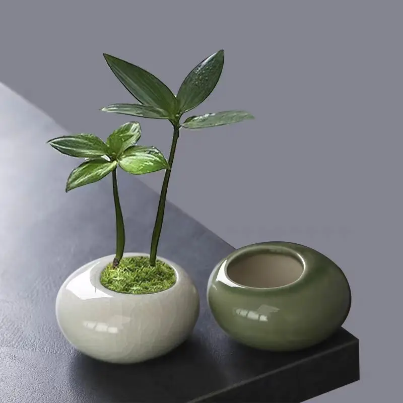 Mini Ice Crack Glazed Plant Pot Creative Succulent Plant Pot Bonsai Vase Desktop Ornaments Home Decor Garden Art