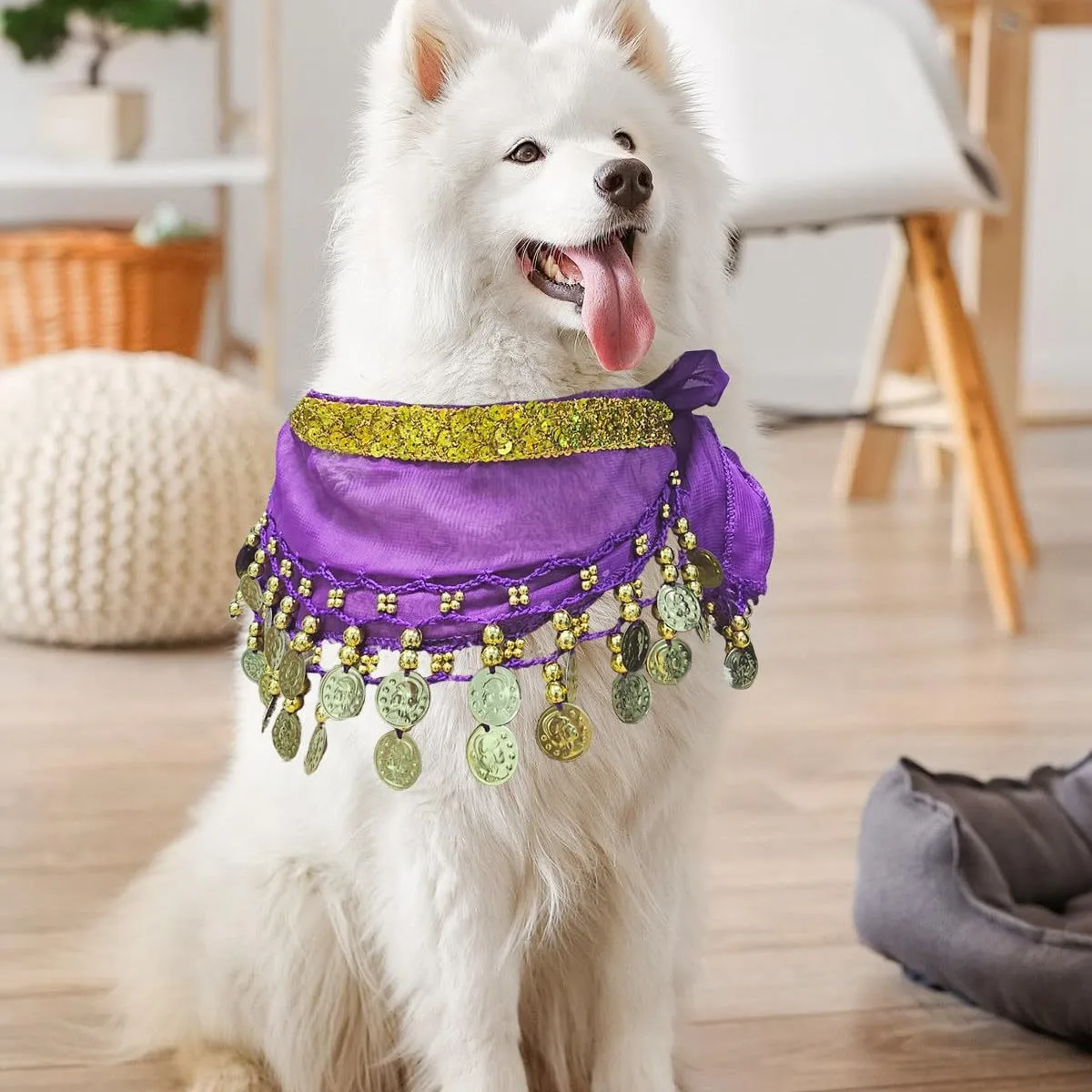 Dog Hip Chain Dance Scarf Shake Performance Waist Belt Cute Pet Accessory