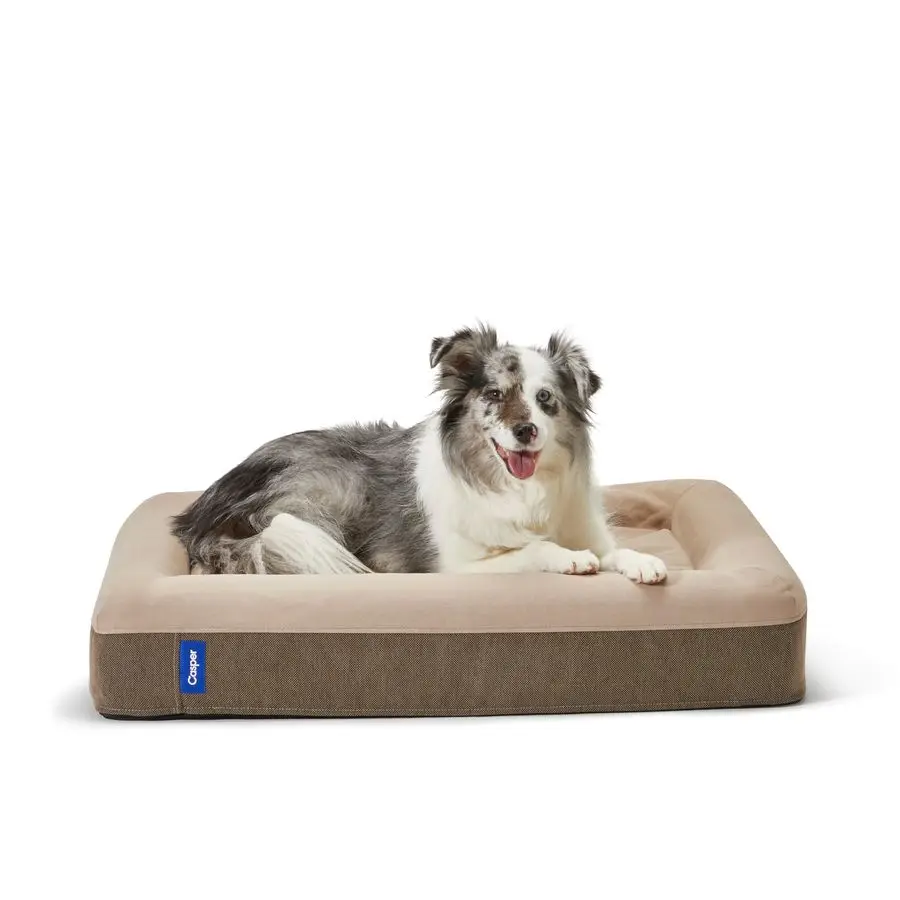 Cama para perros, espuma viscoelástica de felpa, mediana, arena