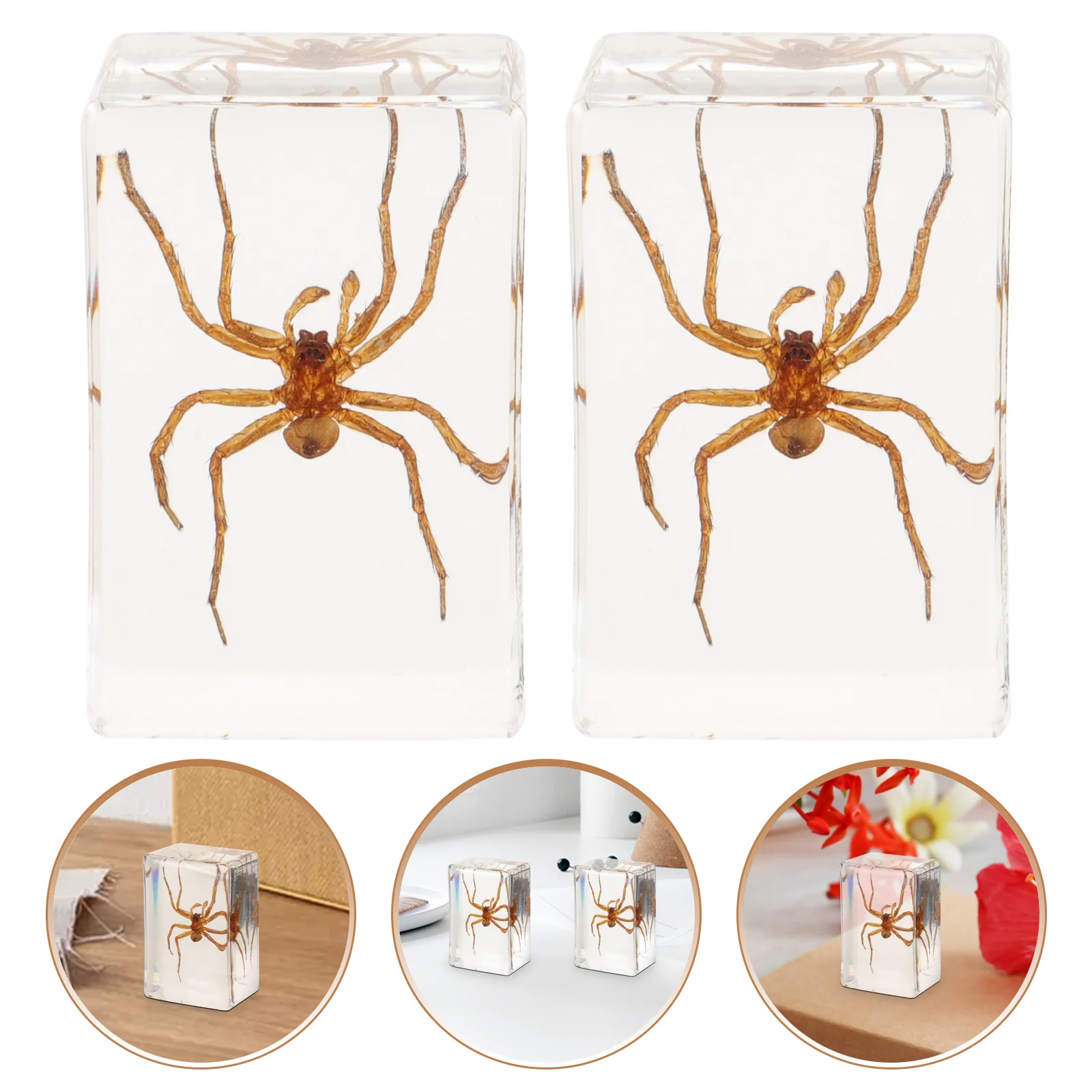 Spinnenmodell-Sammlung, transparent, bernsteinfarben, Insektenproben, Bastelornamente (haarige Spinne), 2 Stück, Desktop-Harz-Dekor, Reisen