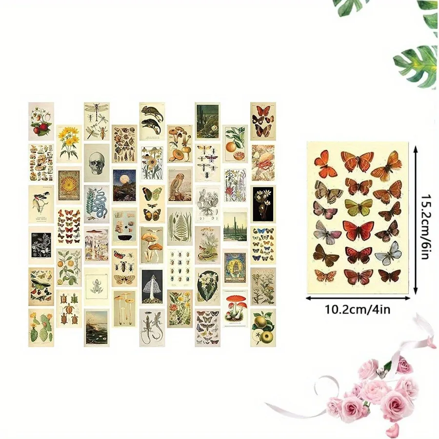 50 pieces/set of vintage collection card set, vintage style plant butterfly mushroom natural card, used for room decoration