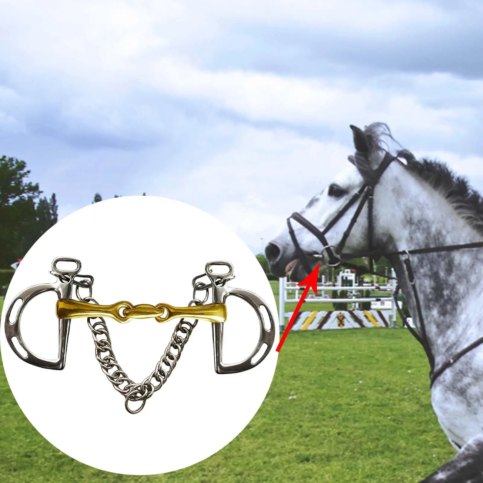 

Конская уздечка-гаг из меди с цепью-крюком для поводка