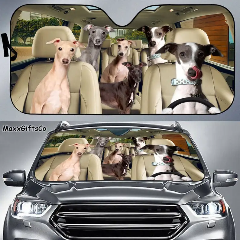 

Italian Greyhound Car Sun Shade, Italian Greyhound Windshield, Dogs Family Sunshade, Dog Car Accessories, Car Decoration, Gift F