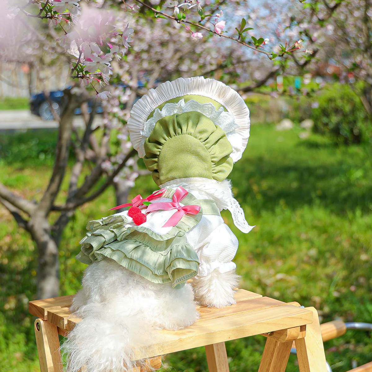 

2026 Spring Summer Dog Dress & Sun Hat Set, Cute Green Lace Princess Puppy Outfit with Cherry Decor, Small Dog Clothes Chihuahua
