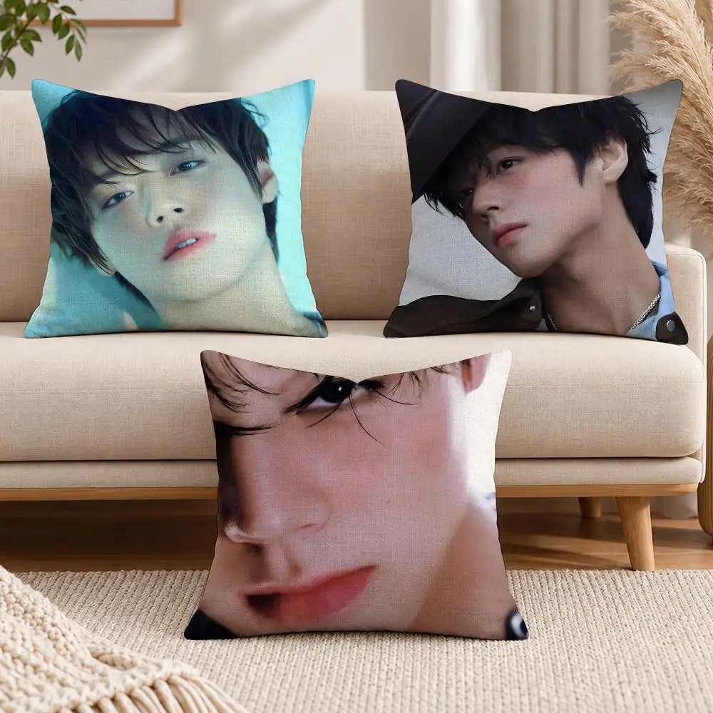Actor Korean P-Park Ji-hoon Cushion Cover Soft Short Cover Washable Sofa Bed Dorm Garden Home Office Chair Decor