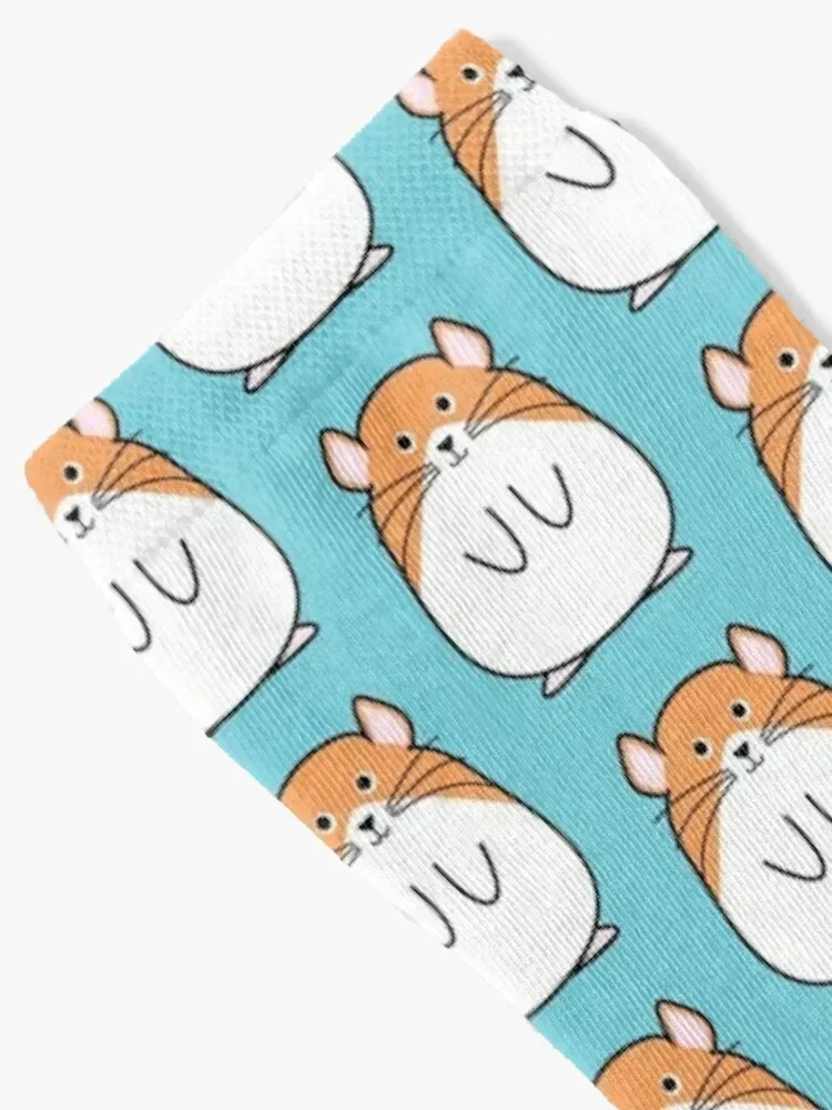 Hamster Socks floral christmass gift Men Socks Women's