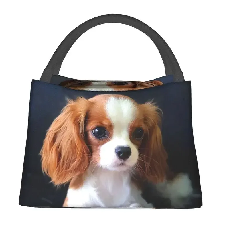 

Custom Cute Little Cavalier King Charles Spaniel Insulated Lunch Bags for Pet Dog Portable Thermal Cooler Food Lunch Box
