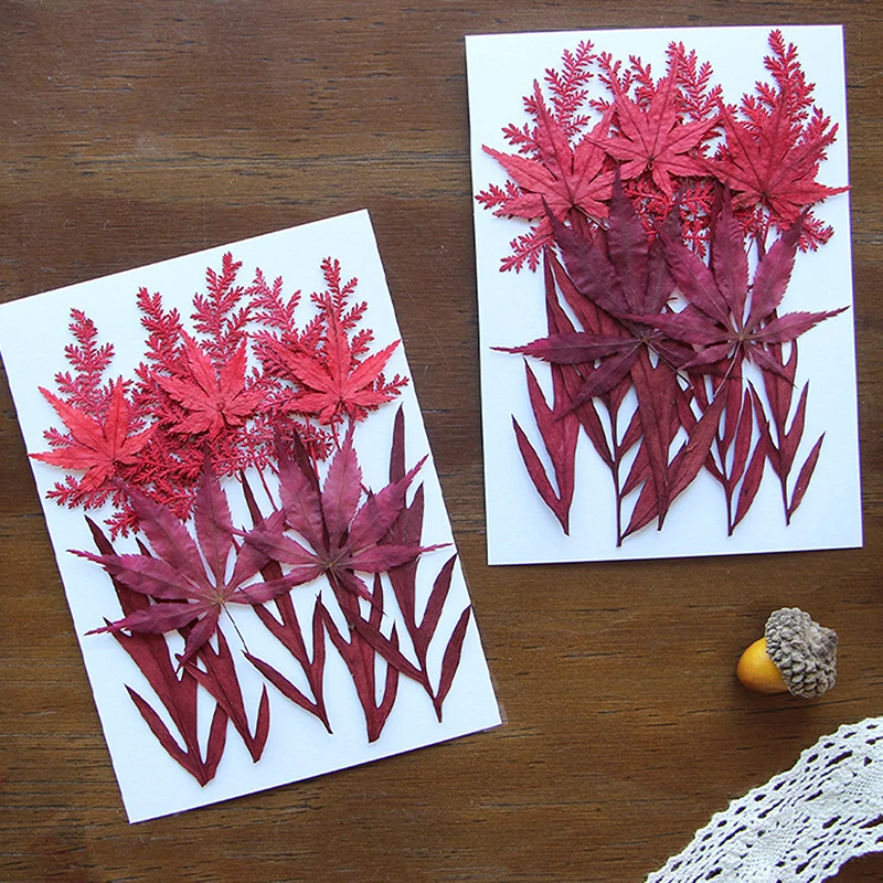 

Dry Flower Bag Real Flower Diy Drop Glue Mobile Phone Case Handmade Group Fan Greeting Card Book Signing Flower Material