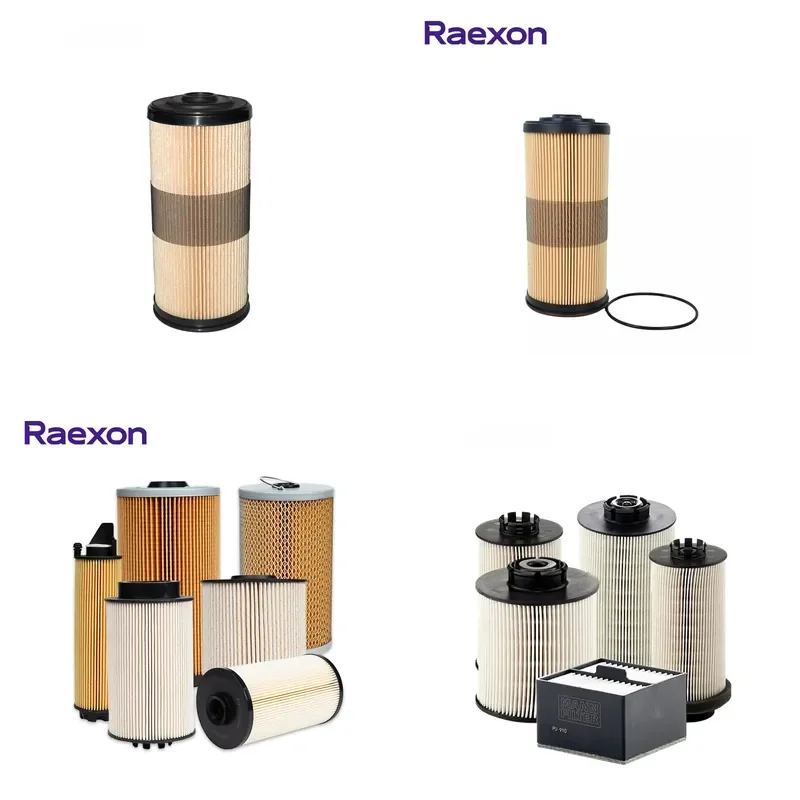 for RAEXON FBO60356 High Quality Truck Fuel Filter Newly Released Long Lasting Performance Original Truck Filter Element