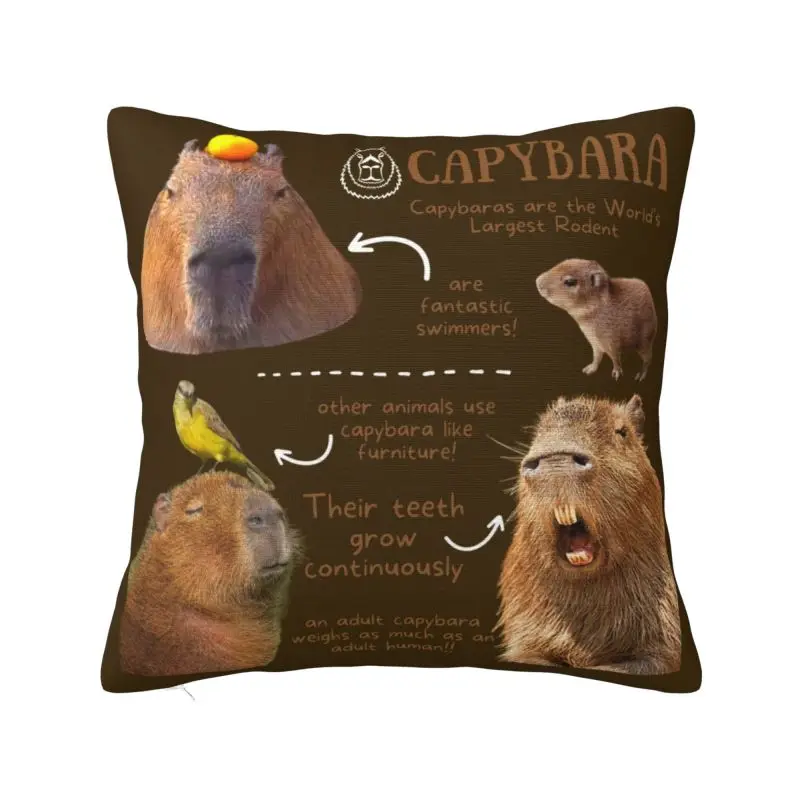 Nordic Capybara Fun Facts Throw Pillow Covers Decoracion 3D Printing Sofa Cushion Cover Polyester Cozy Pillowcase Dakimakura