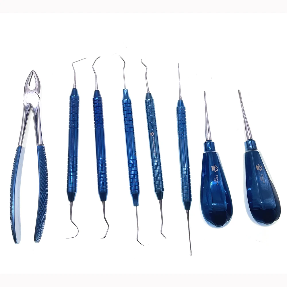 For Cat Or Small Dog Oral Extram CleaningOr Extracting Teeth Measure Probe Supragingival Scaler Dissector Medical Dentistry Kit