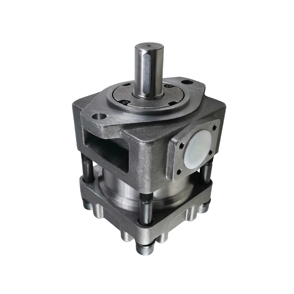 Hydraulic internal gear pump manufacturers QT62-80-BP-Z QT62-100-BP-Z High pressure servo gear pump QT62-125-BP-Z