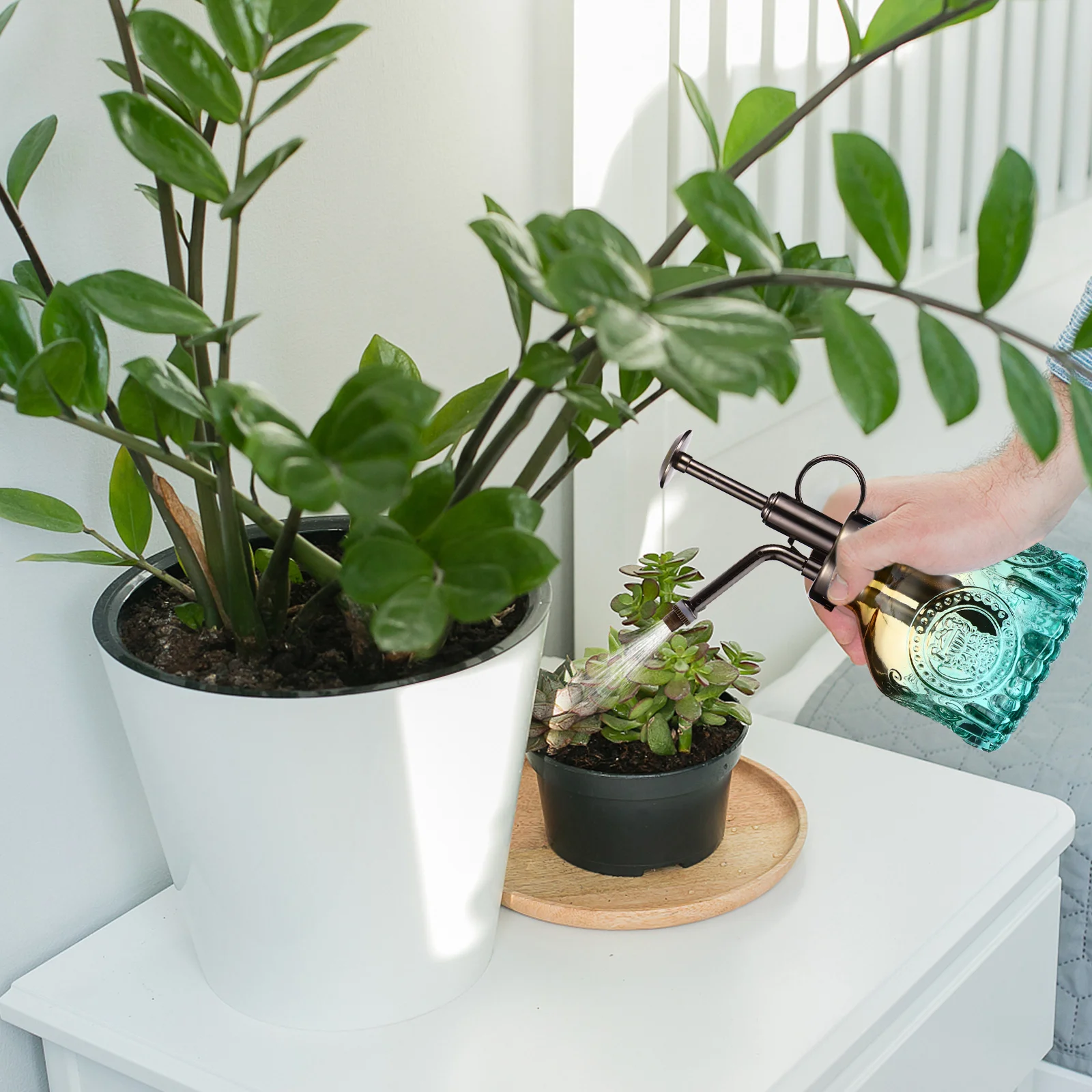 

1Pcs Vintage European Style Glass Watering Pot Pump Sprayer for Indoor Outdoor Plants Gardening Spray Watering Can