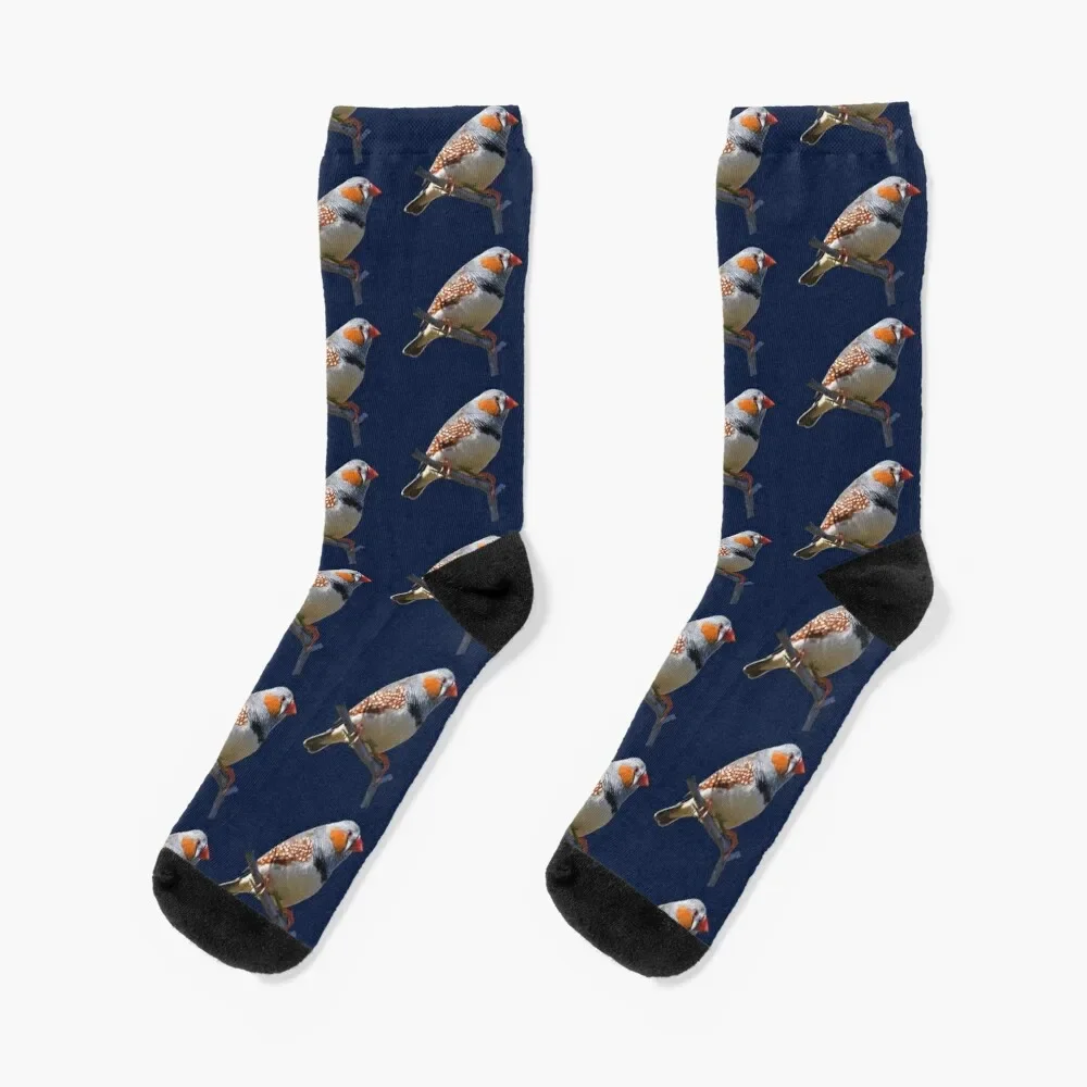 

Zebra Finch 4 Socks Rugby compression Socks Women Men's